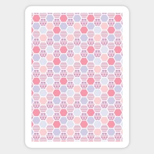 Hexagon Pastel Pattern Sticker